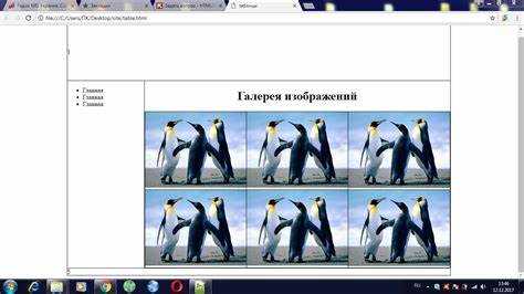 Как заполнить картинкой весь блок css Как заполнить картинкой весь блок css