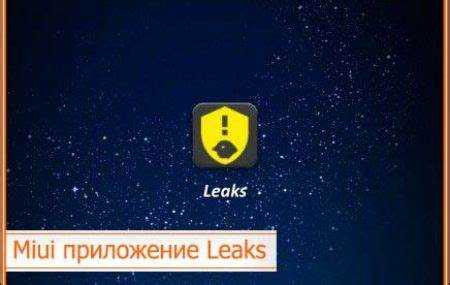 Механизм установки и первоначальная настройка Leaks