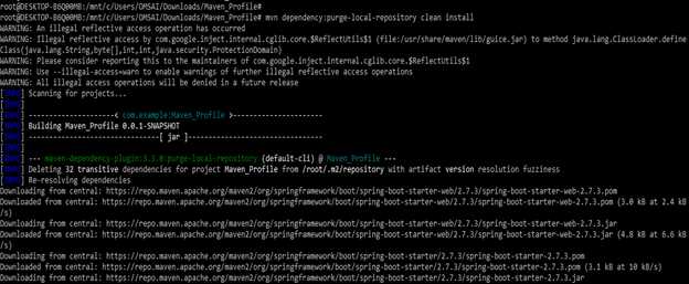 Использование параметров и опций при clean install