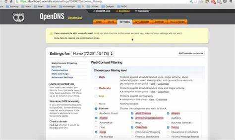Как определить свой публичный IP через Myip opendns com