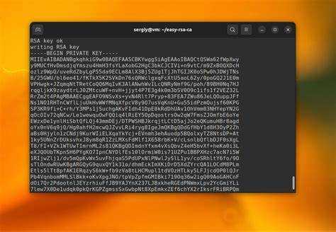 Просмотр информации сертификата в текстовом формате