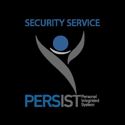 Примеры использования Persist Security Info true в различных приложениях