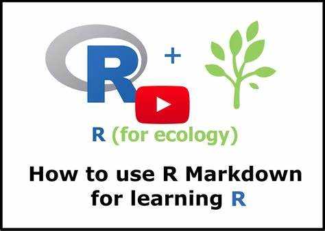 R markdown как пользоваться R markdown как пользоваться