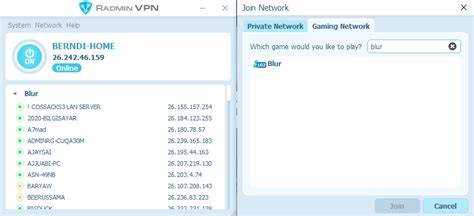 Radmin VPN: назначение и возможности программы