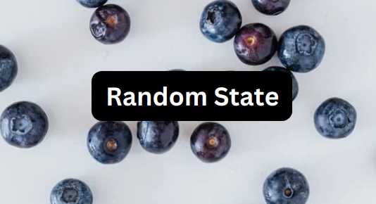 Применение random_state в алгоритмах классификации и его влияние на обучение