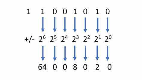 Пошаговая инструкция по извлечению данных из Reg binary