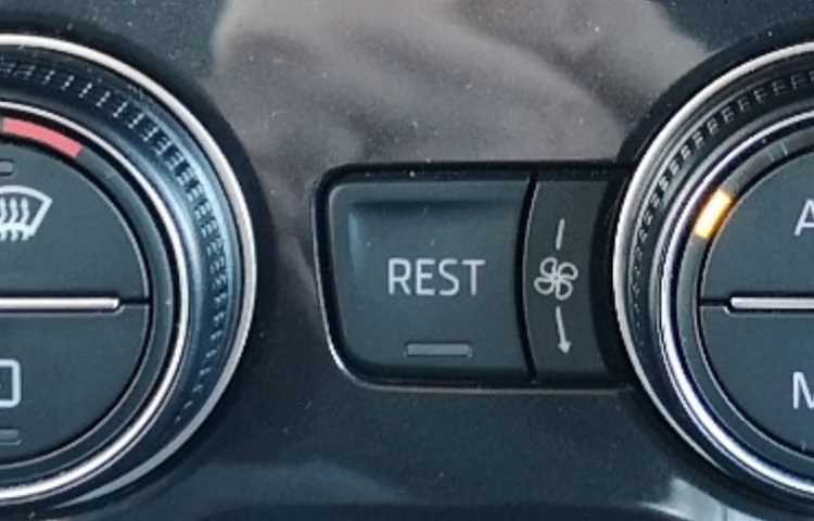 Rest что это в машине