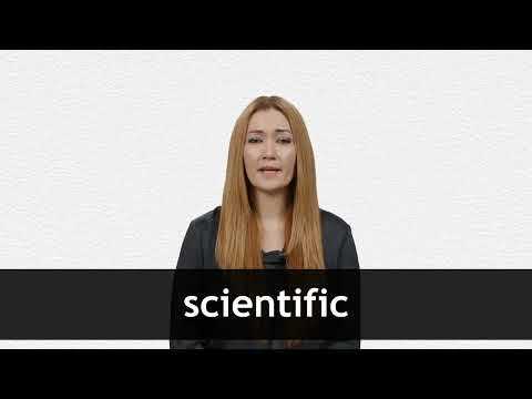 Как различие между scientific и scientifical отражается в переводах
