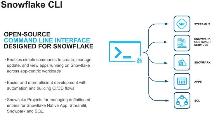 Snowflake client exe что это Snowflake client exe что это
