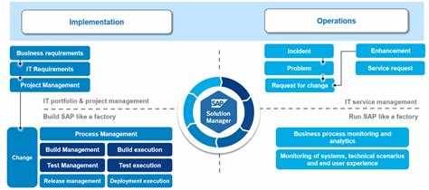 Solution manager это кто