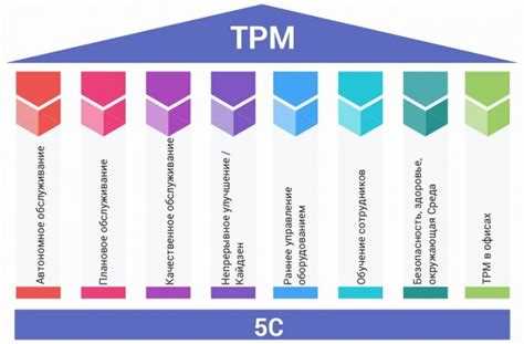 Tpm tcm что это Tpm tcm что это