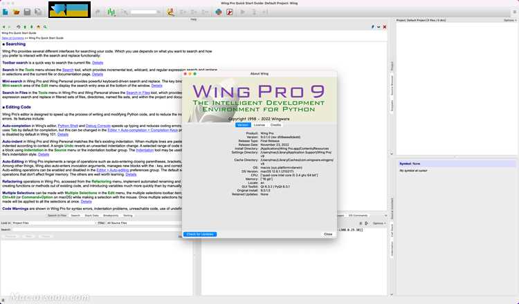 Типичные ошибки при работе с Wing IDE 101 и способы их устранения