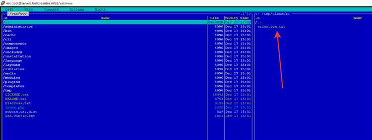 Где скачать ClamAV для Windows и какие сборки подходят