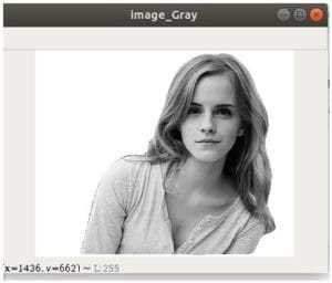 Cv2 color bgr2gray как работает Cv2 color bgr2gray как работает