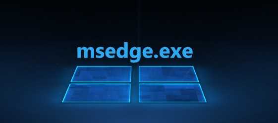 Основные функции и возможности Exo Ring