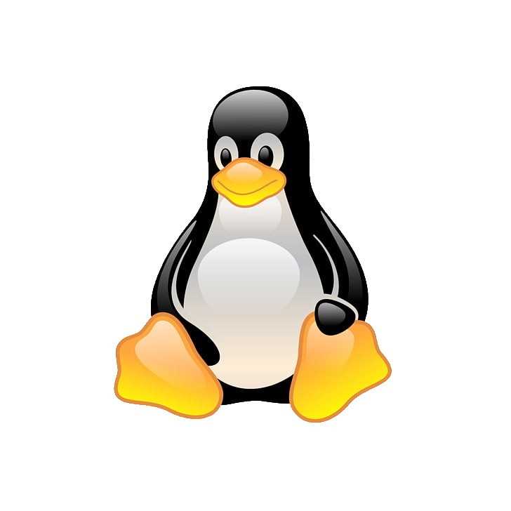 Проверка FQDN через DNS-запросы с помощью dig