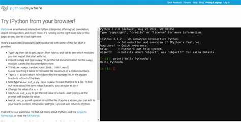 Интеграция онлайн Python-редакторов с внешними библиотеками
