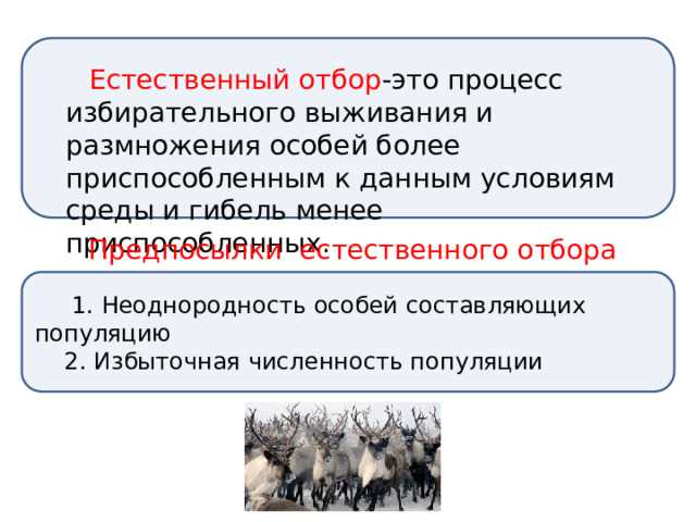 Проверенные способы бесплатного просмотра онлайн