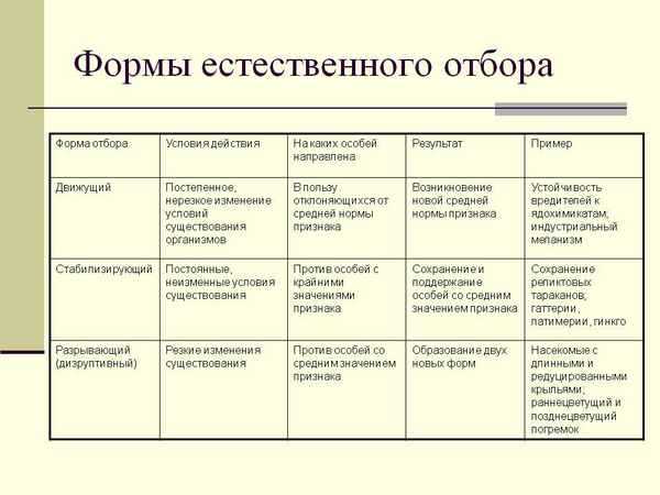 Официальные платформы трансляции программы