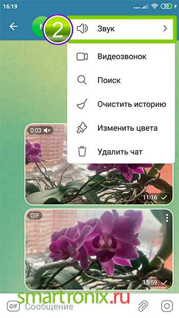 Отключение уведомлений в группах и супергруппах Telegram