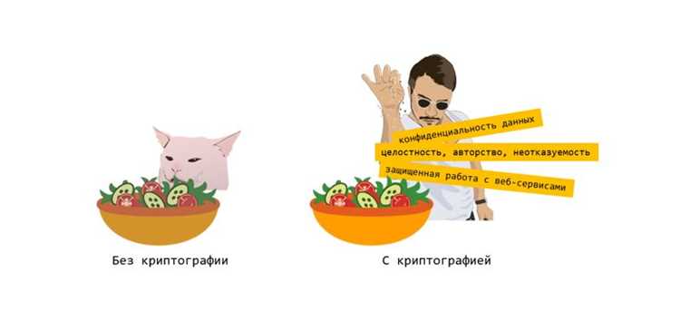 Использование программ для анализа зашифрованных данных