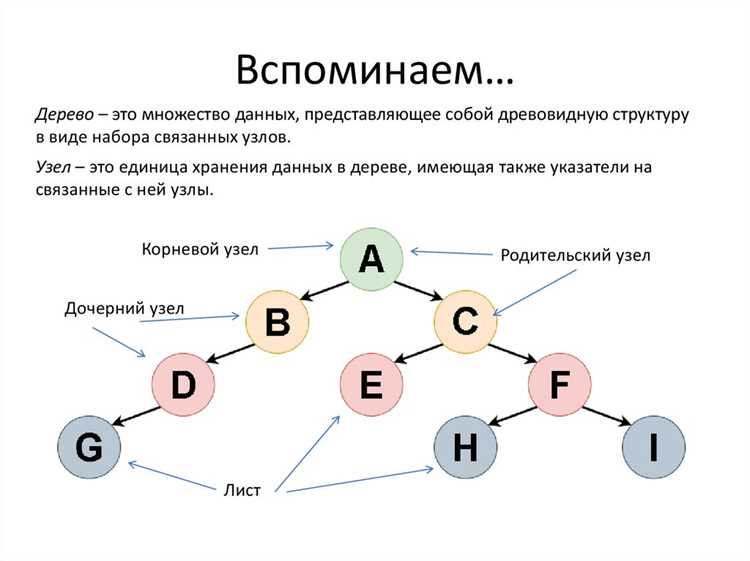 Из какого числа вариантов выбираются бинарные решения