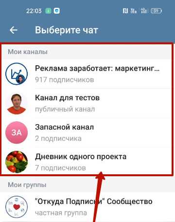 Настройка прав и ограничений бота в группе