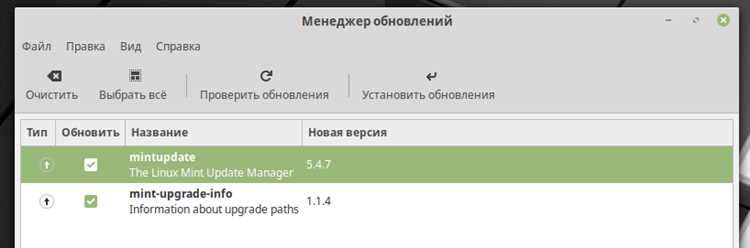 Проверка успешности обновления и устранение ошибок