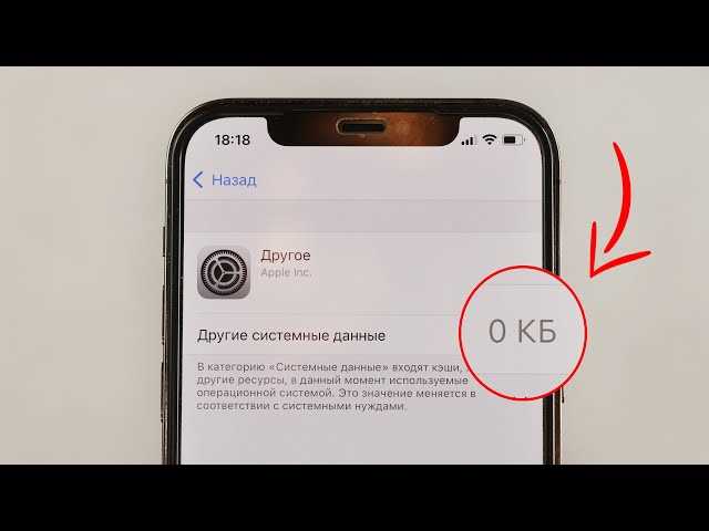 Проверка успешности очистки файла
