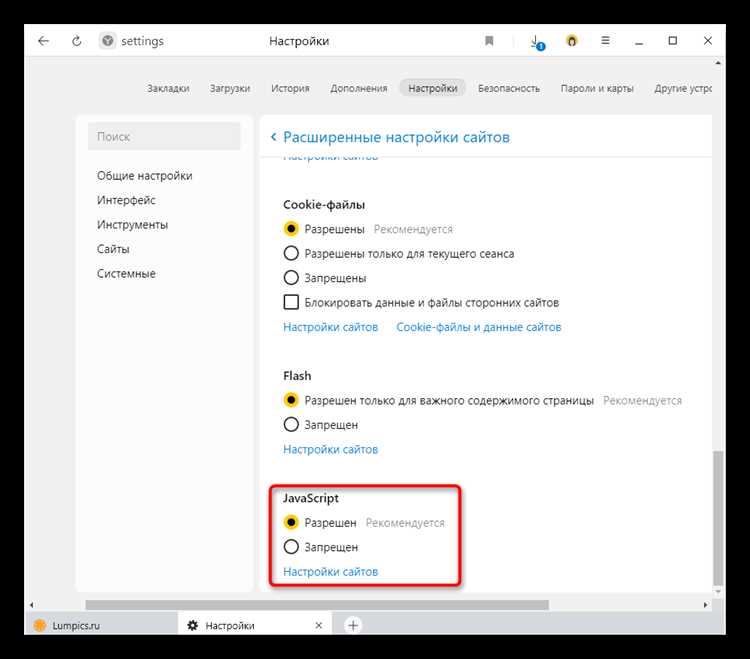 Тестирование работы сайта без JavaScript