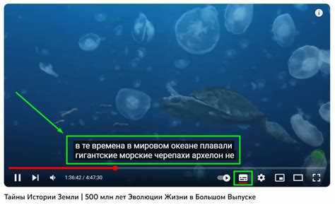 Использование медиаплееров для скрытия вшитых субтитров