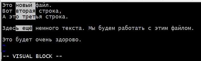 Как перейти в командный режим vim Как перейти в командный режим vim