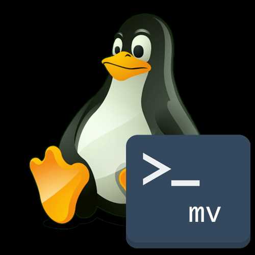 Чтение и анализ файла /etc/shadow для проверки наличия учетных записей