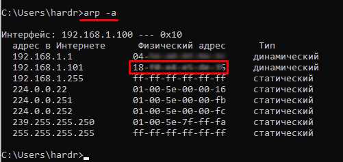 Сканирование сети с помощью утилит для поиска MAC адресов