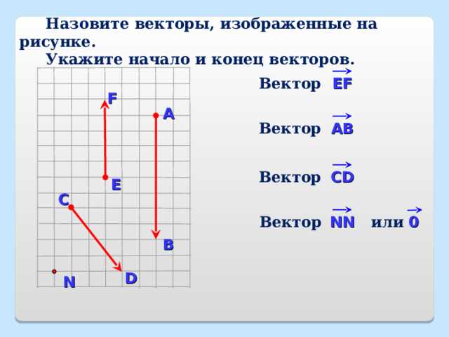 Проверка вектора на пустоту перед поиском
