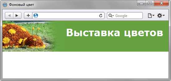 Применение min-height: 100vh для полного экрана