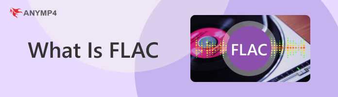 Проверка качества и структуры полученных FLAC-треков