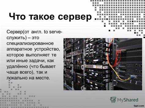 Выбор типа сервера и его роли в сети