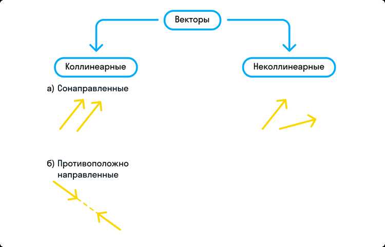 Сравнение исходного и скопированного векторов после операции