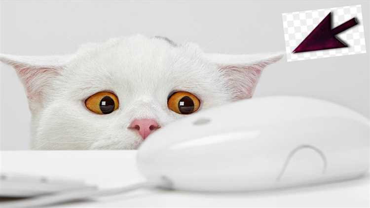 Проверка целостности системных файлов Windows