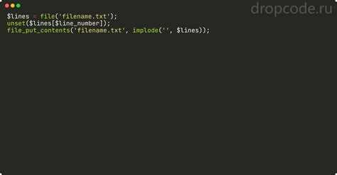 Удаление PHP-файла в macOS и Linux через терминал