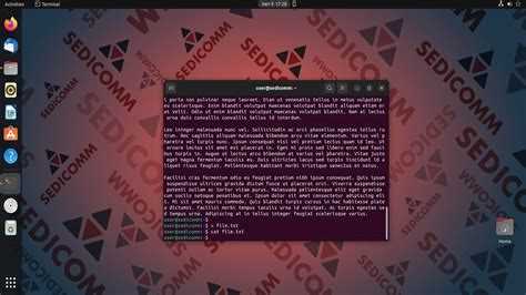 Как удалить xorg conf через терминал