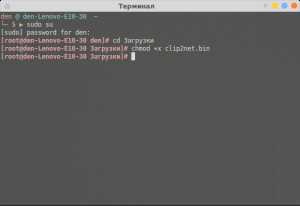 Как установить bin файл в linux