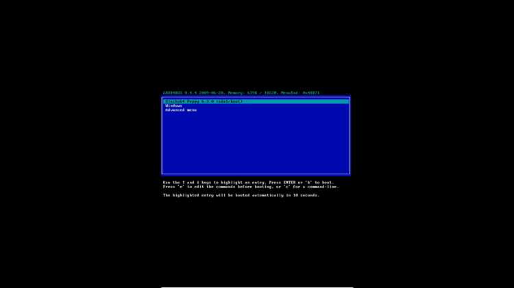 Выбор типа установки Puppy Linux: frugal или full