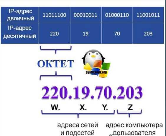 Использование dig для запроса DNS записей