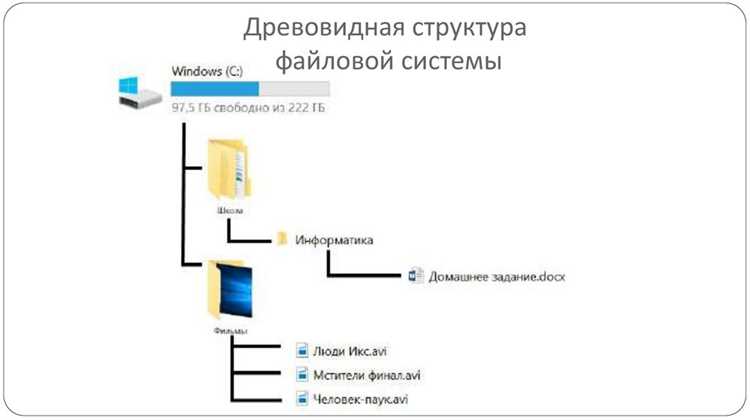 Получение информации о файловой системе корня через findmnt