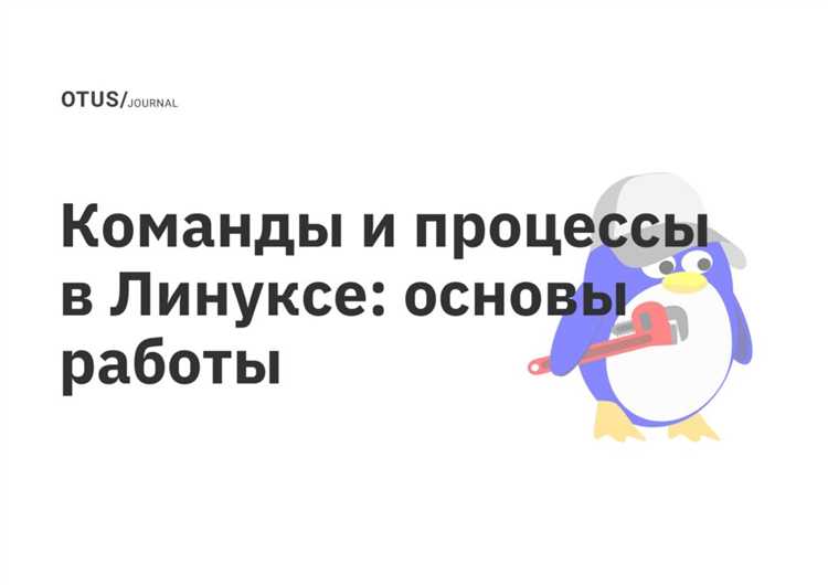Просмотр информации о дисках и разделах с помощью lsblk и df