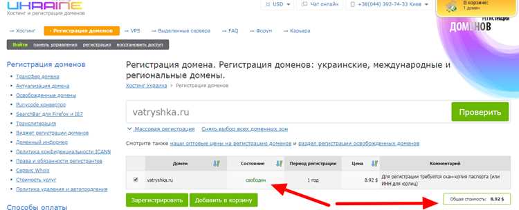 Определение целевой аудитории и связи названия домена с товарной нишей