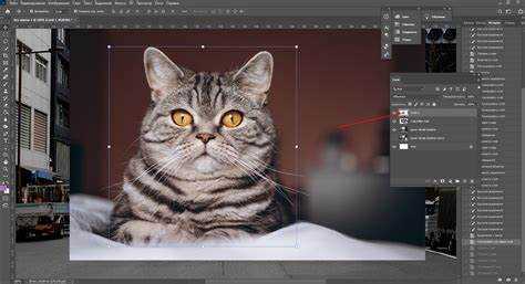 Как выделить слой в фотошопе Как выделить слой в фотошопе