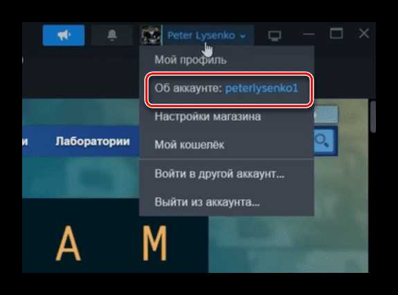 Выход из Steam на мобильном приложении iOS